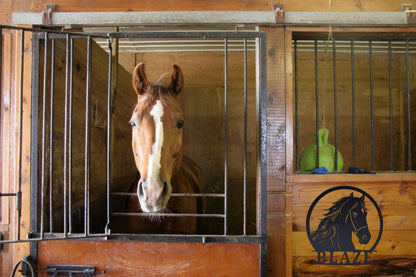 Personalized Horse Stall Name Sign, Name Plaque Custom Horse Metal Sign for Farm Barn Ranch, Metal Sign Horse Name Plate