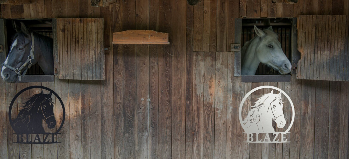 Personalized Horse Stall Name Sign, Name Plaque Custom Horse Metal Sign for Farm Barn Ranch, Metal Sign Horse Name Plate