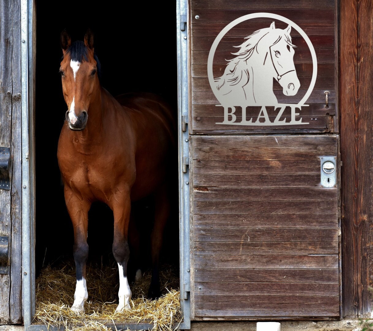 Personalized Horse Stall Name Sign, Name Plaque Custom Horse Metal Sign for Farm Barn Ranch, Metal Sign Horse Name Plate
