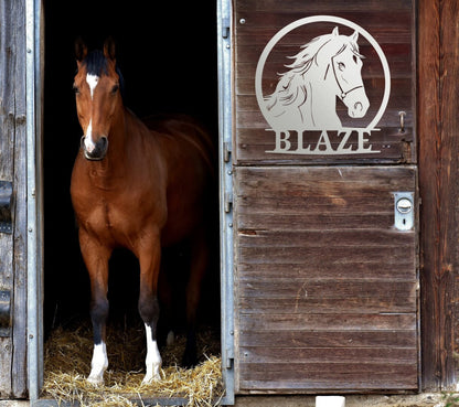 Personalized Horse Stall Name Sign, Name Plaque Custom Horse Metal Sign for Farm Barn Ranch, Metal Sign Horse Name Plate